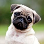 Profile picture of katemikida