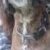 Profile picture of tbarrr
