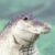 Profile picture of f3x8o2s9ff